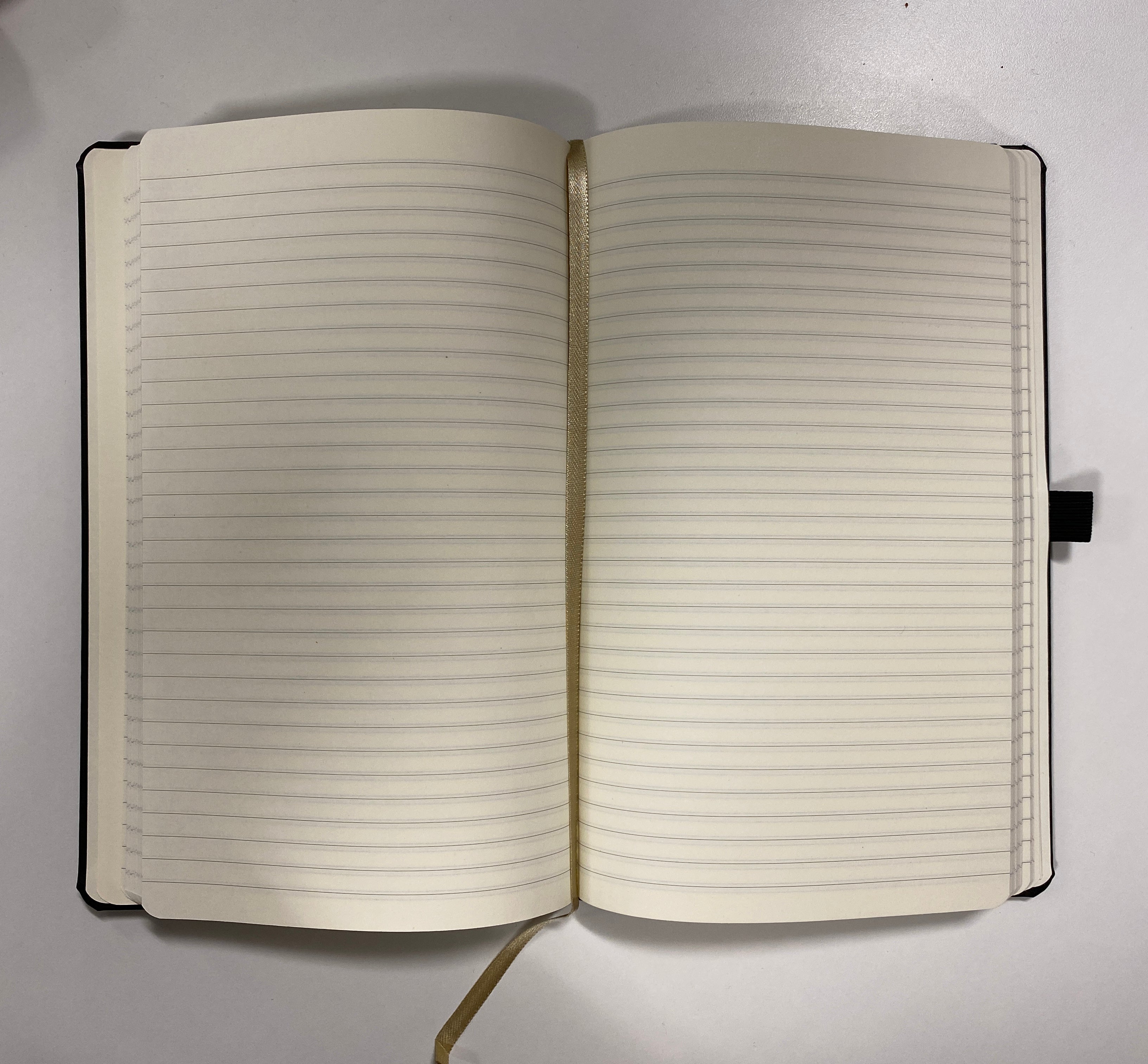 Moleskine ruled notebook A5 size – ASLEFshop