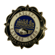 15 Year Society Badge (Old)