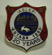 20 year badge (old)