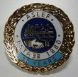 30 year badge (old)