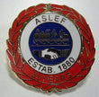 35 year badge (old)